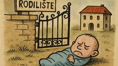 Vic: Tko se u Bosni rodi bez veze